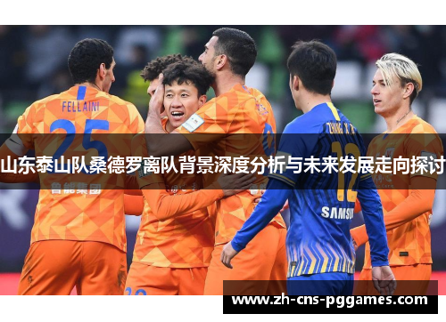 山东泰山队桑德罗离队背景深度分析与未来发展走向探讨