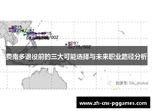 费南多退役前的三大可能选择与未来职业路径分析